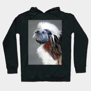 Cotton-top Tamarin Hoodie